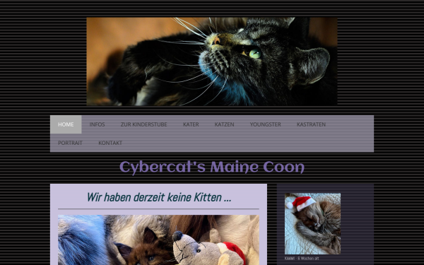www.cybercats-mainecoon.com