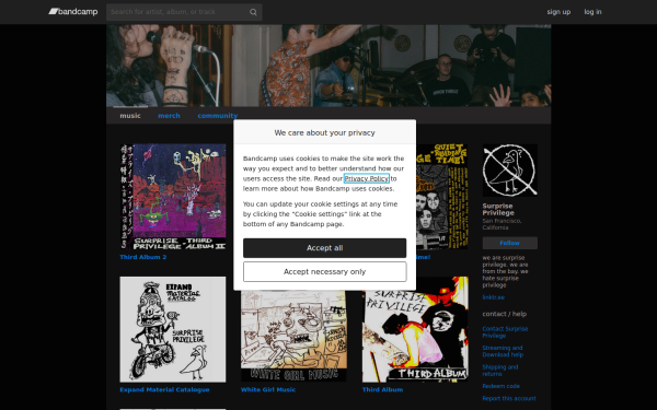 surpriseprivilege.bandcamp.com