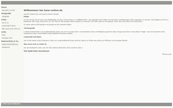 lueer-online.de