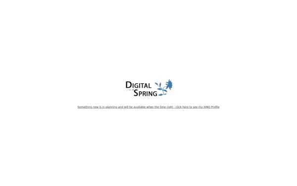 digital-spring.de
