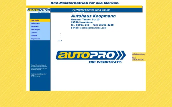 autohaus-koopmann.de