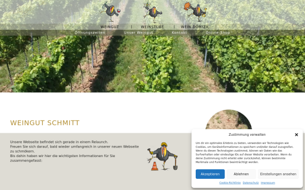 weingut-schmitt-ilbesheim.de