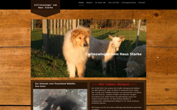 www.collies-vom-haus-starke.de