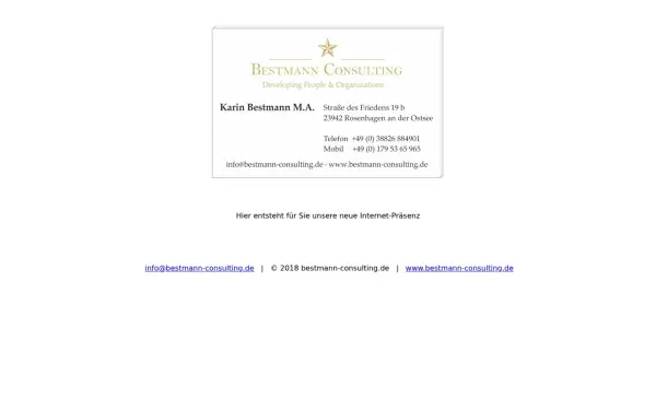 bestmann-consulting.de