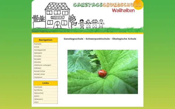 www.gs-wallhalben.de