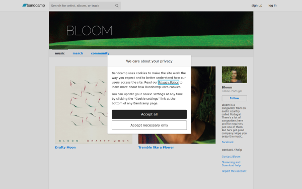 meetingbloom.bandcamp.com