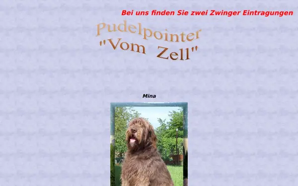 pudelpointer-vom-zell.de