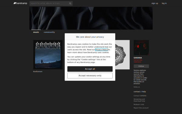 saranamusic.bandcamp.com