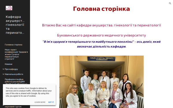 ogp.bsmu.edu.ua