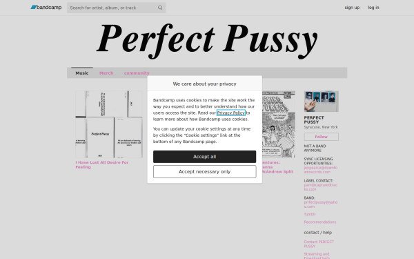 prrfectpussy.bandcamp.com