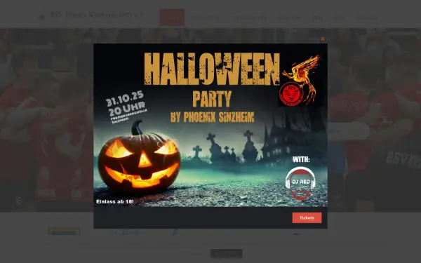 handball-sinzheim.de