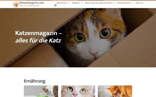 www.katzenmagazin.com