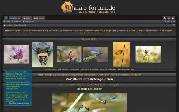 makro-forum.de