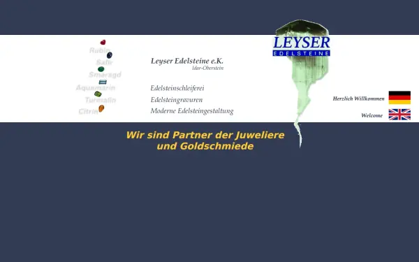 leyser-idar-oberstein.de