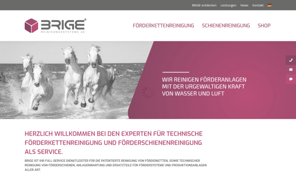 brige.de