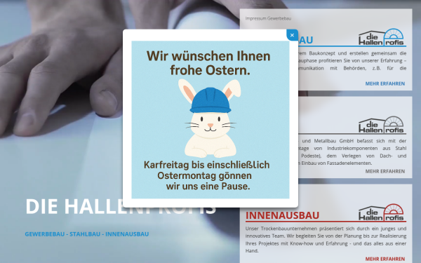 hallenprofis.com