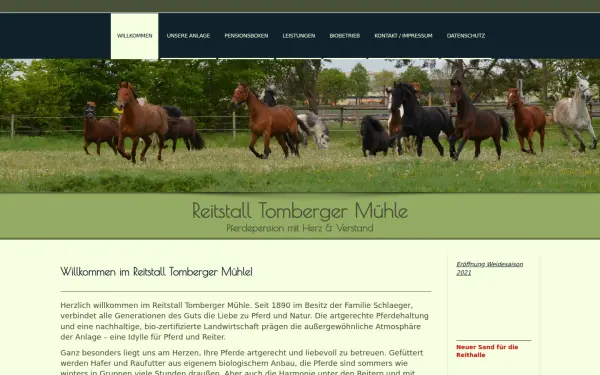 www.reitstall-schlaeger.de