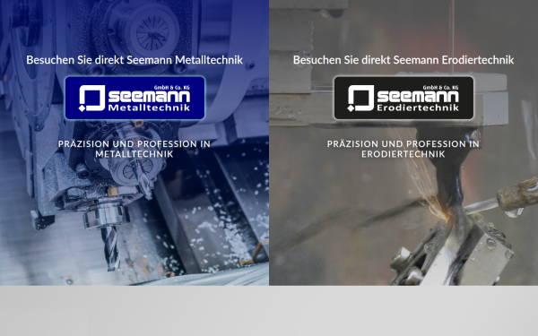 seemanngmbh.de