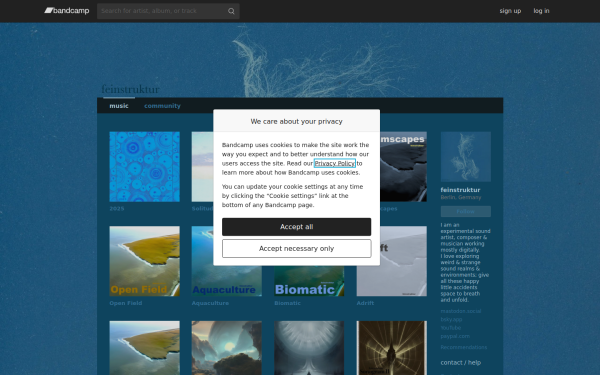 feinstruktur.bandcamp.com