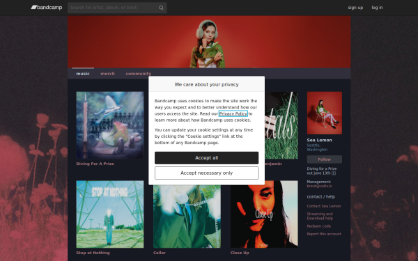 sealemonmusic.bandcamp.com