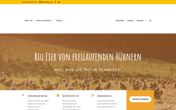 bioei.at