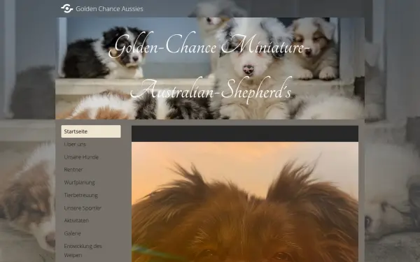 www.golden-chance-aussies.de