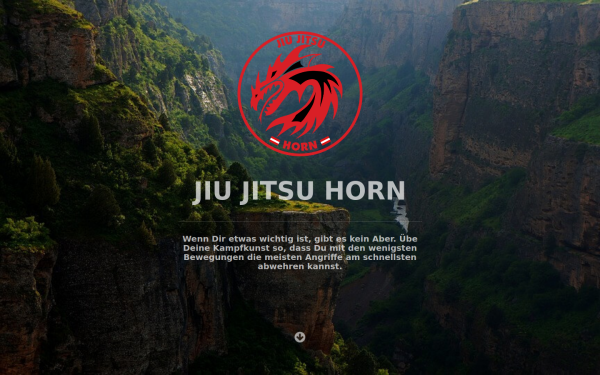 jiu-horn.at
