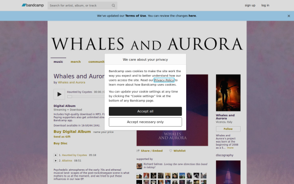 whalesandaurora.bandcamp.com