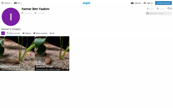 itamar-ben-yaako.imgbb.com