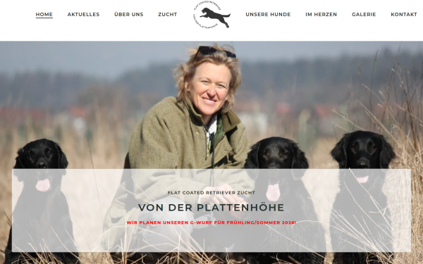plattenhoehe.at