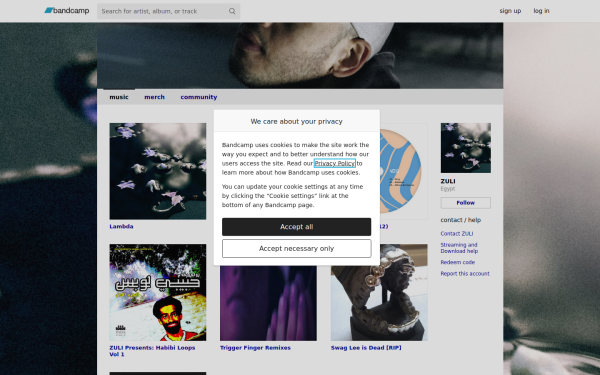 zulimusic.bandcamp.com