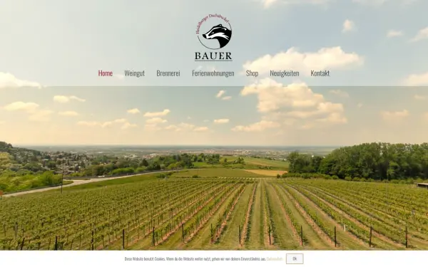 heidelberger-dachsbuckel.de