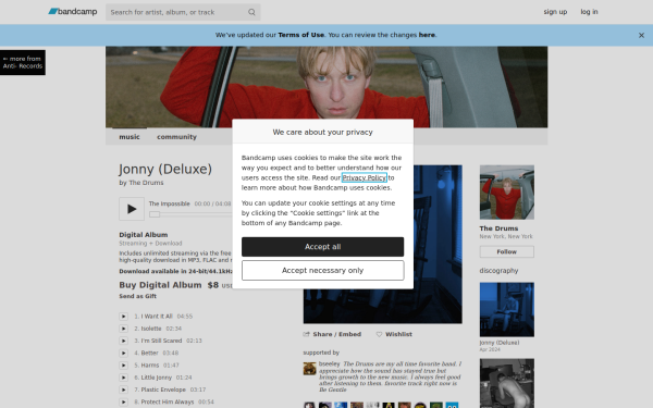 wearethedrums.bandcamp.com