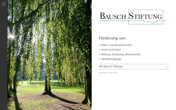 bausch-stiftung.de