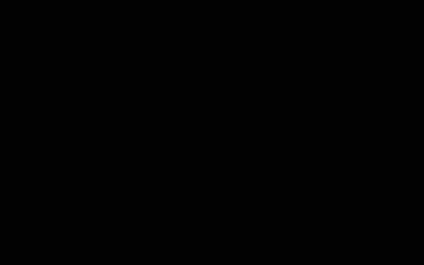 gerasch.de