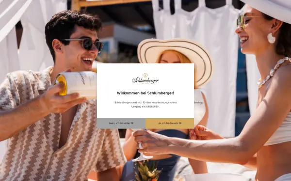 www.schlumberger.at