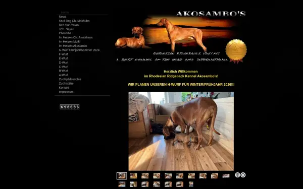 www.akosambo.de