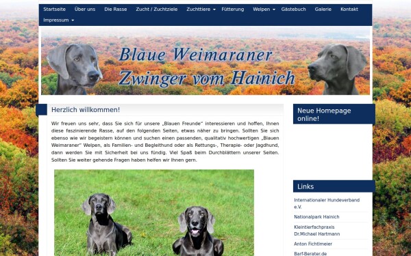 www.blaue-weimaraner-zwinger-vom-hainich.de