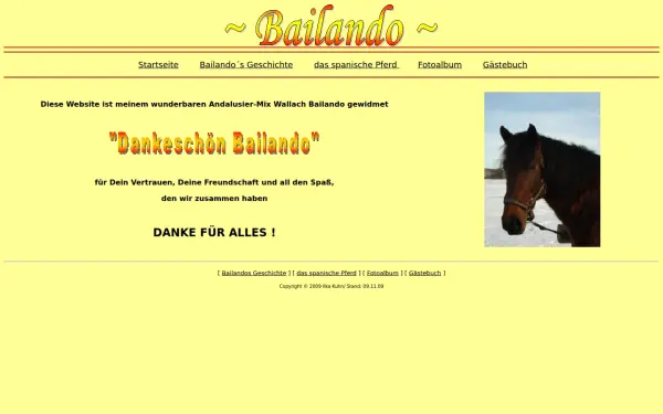 mein-bailando.de