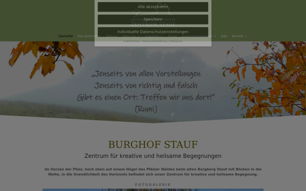 zentrum-burghofstauf.de