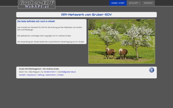 www.webapi.at