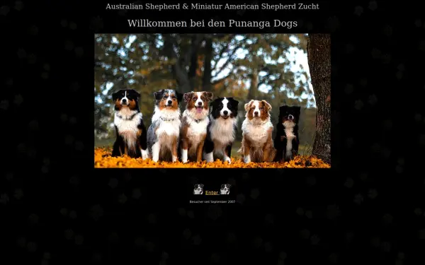 punanga.de