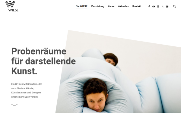 wiese-eg.de