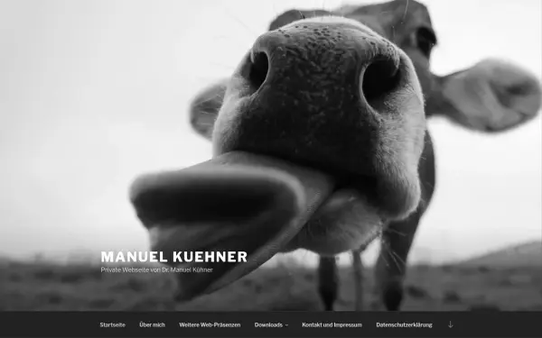 manuelkuehner.de
