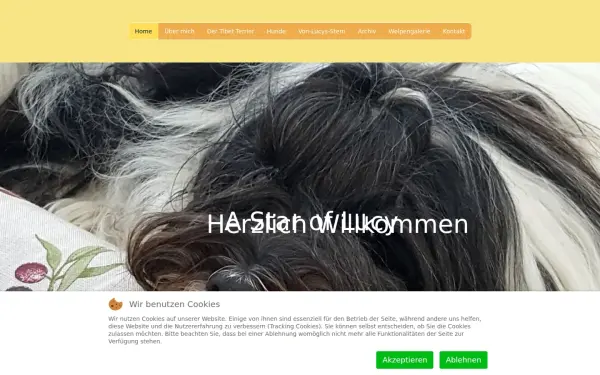 von-lucys-stern.de