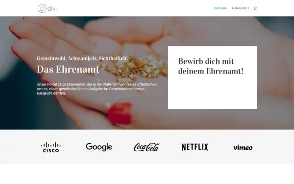 dasehrenamt.de