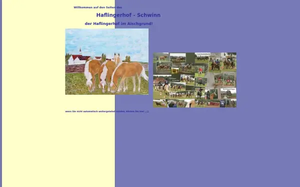 haflingerhof-schwinn.de
