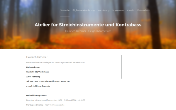 geigenbau-dithmar.de