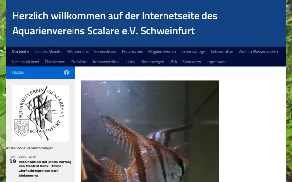 www.aquarienverein-scalare.de