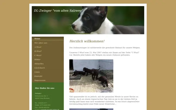 www.dl-alter-salzweg.de
